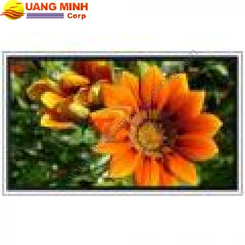 Màn chiếu điện Dinon 70 Inches
